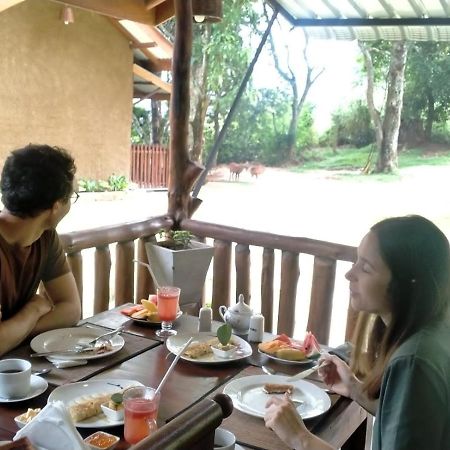 Saffron Eco Cottage エッラ エクステリア 写真