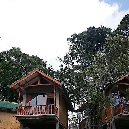 Saffron Eco Cottage エッラ エクステリア 写真