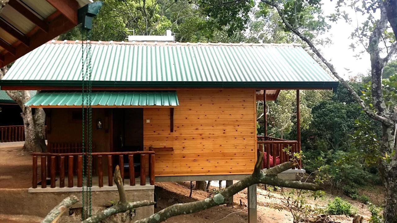 Saffron Eco Cottage エッラ エクステリア 写真