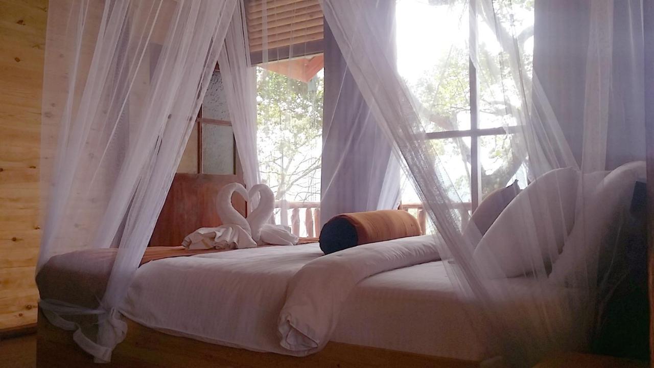 Saffron Eco Cottage エッラ エクステリア 写真