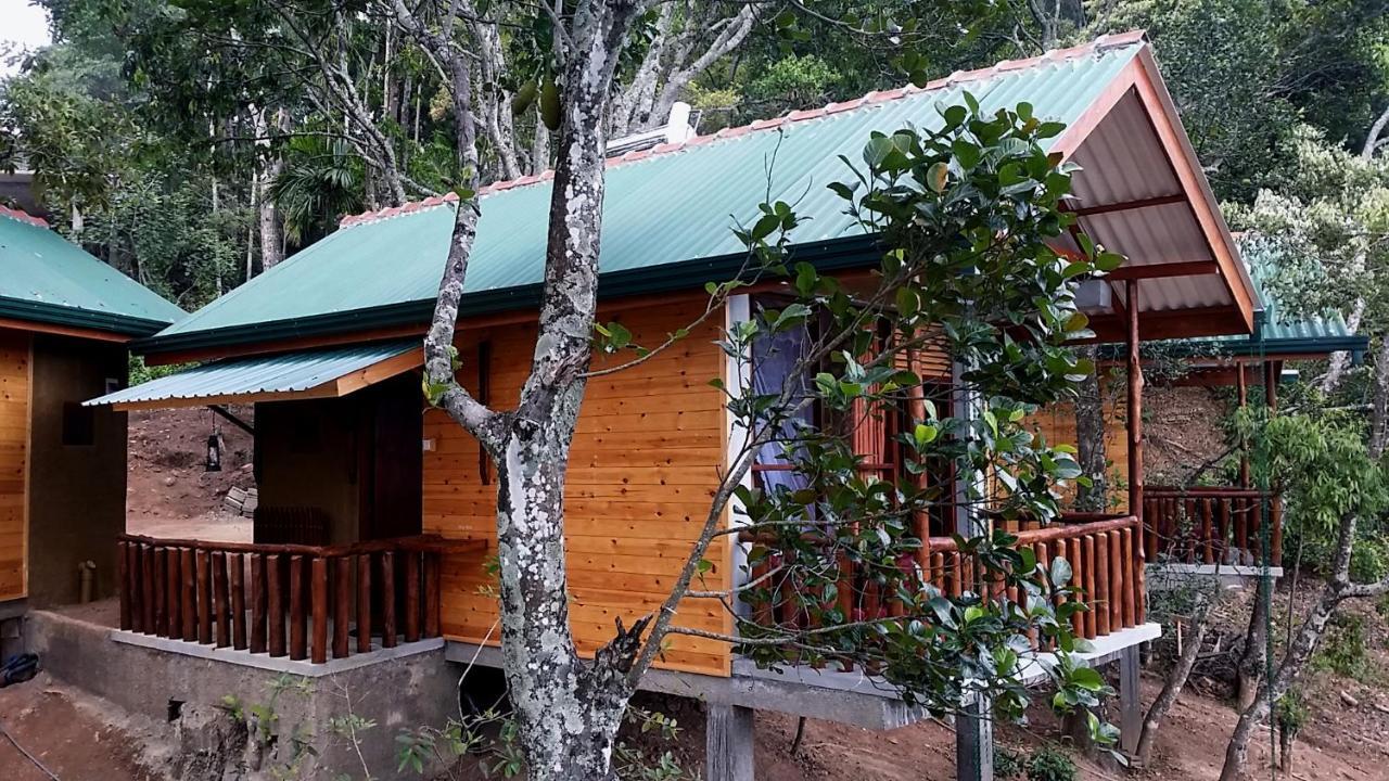 Saffron Eco Cottage エッラ エクステリア 写真