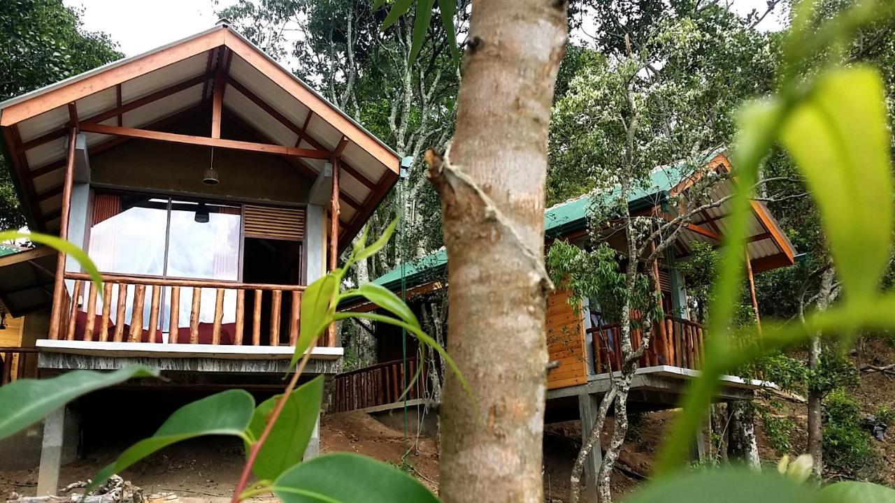 Saffron Eco Cottage エッラ エクステリア 写真