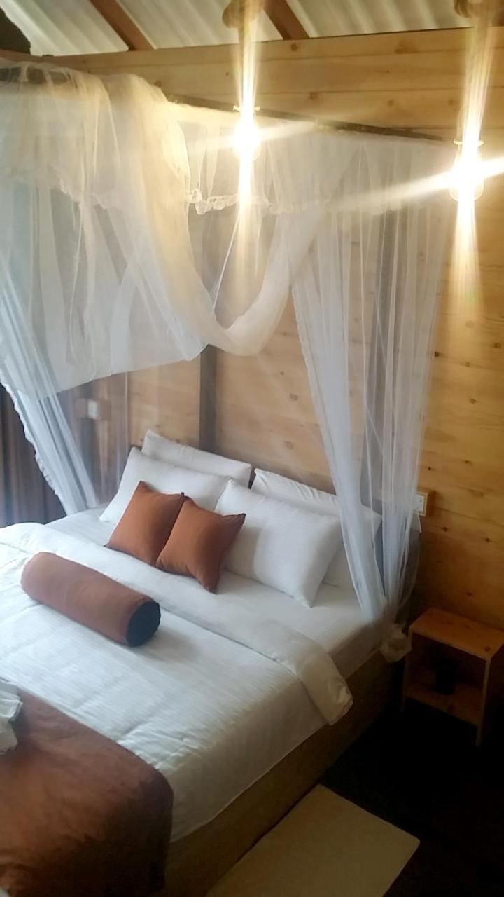 Saffron Eco Cottage エッラ エクステリア 写真