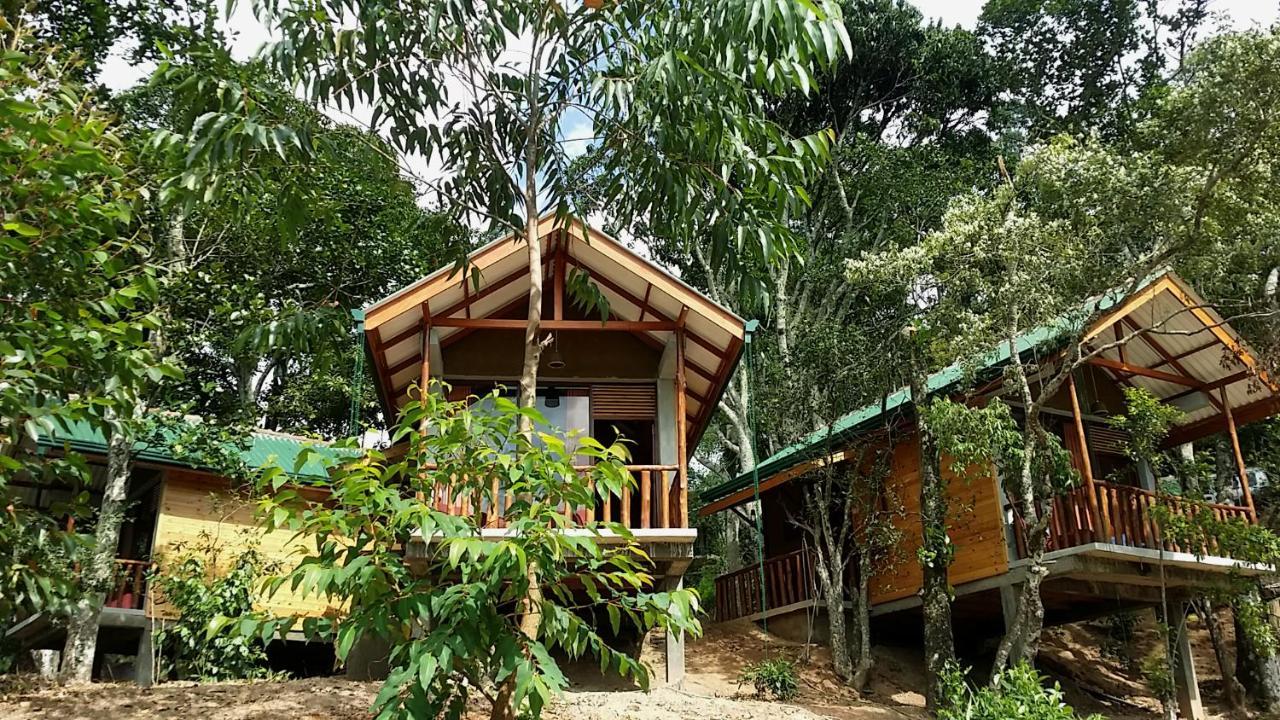 Saffron Eco Cottage エッラ エクステリア 写真